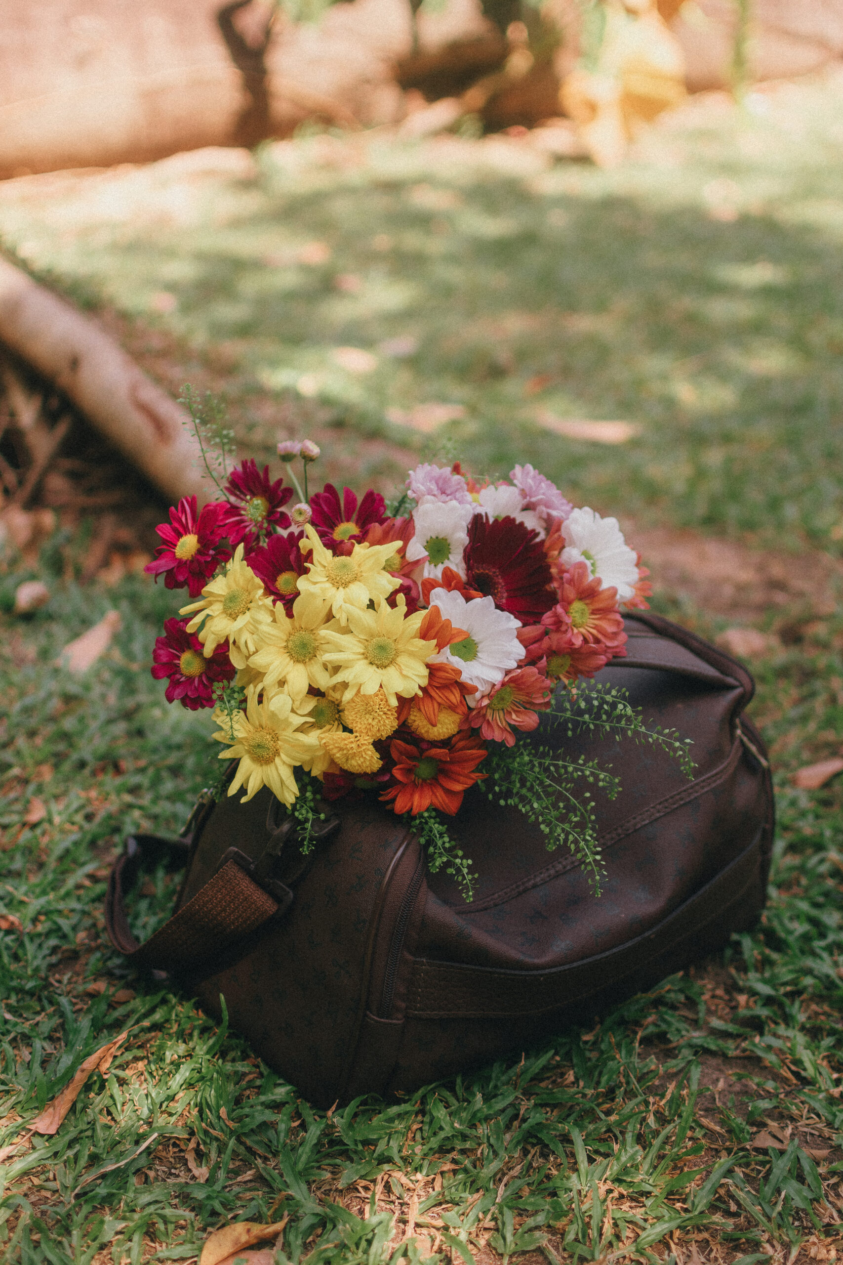 ensaio-fotografico-feminino-fortaleza