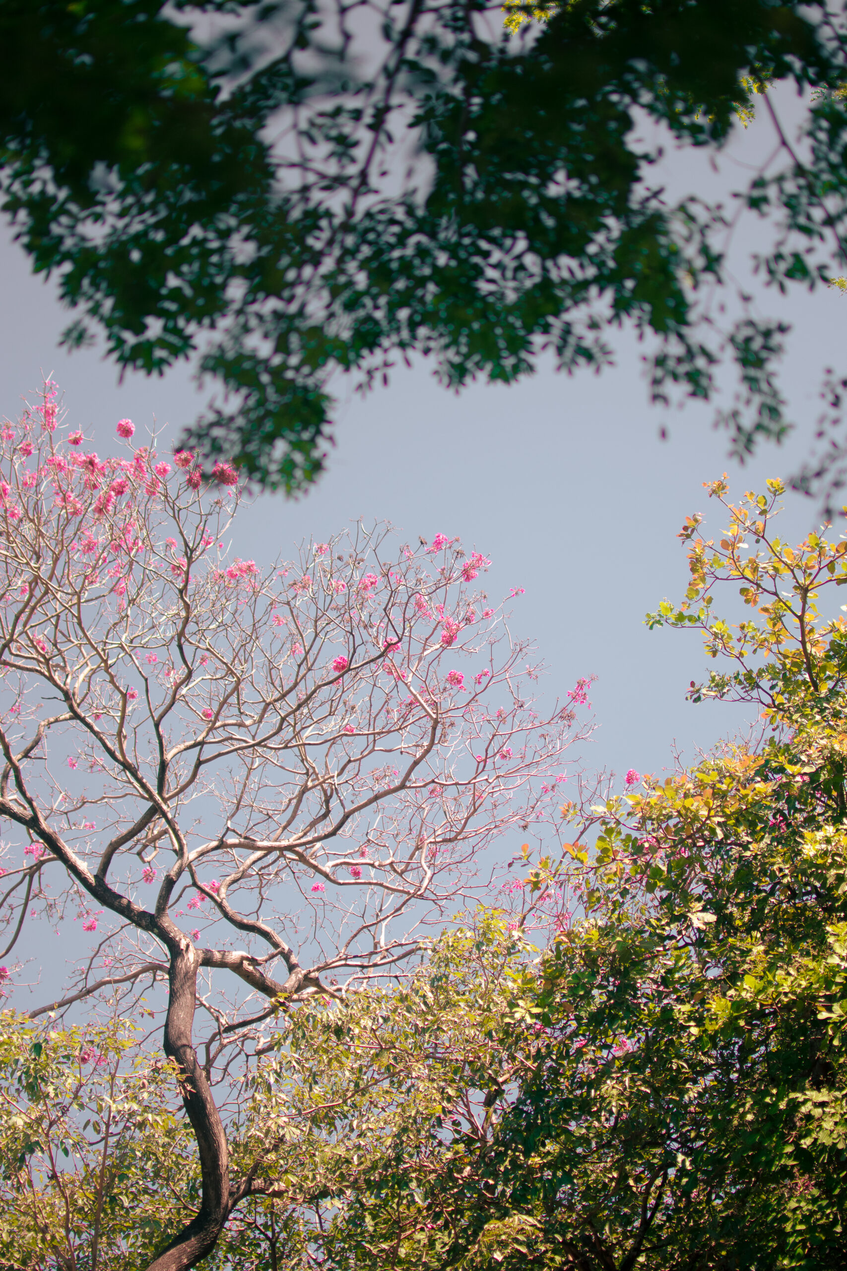 ensaio-fotografico-feminino-fortaleza